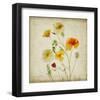 California Poppy Garden I-Judy Stalus-Framed Art Print