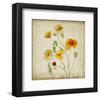 California Poppy Garden I-Judy Stalus-Framed Art Print