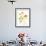 California Poppy Garden II-Judy Stalus-Framed Premium Giclee Print displayed on a wall