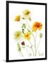 California Poppy Garden II-Judy Stalus-Framed Premium Giclee Print