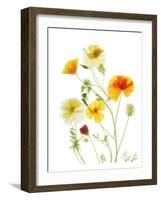 California Poppy Garden II-Judy Stalus-Framed Art Print