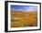 California Poppy Reserve, Lancaster, California, USA-John Alves-Framed Premium Photographic Print