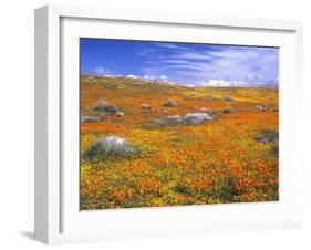 California Poppy Reserve, Lancaster, California, USA-John Alves-Framed Premium Photographic Print