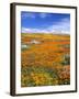 California Poppy Reserve, Lancaster, California, USA-John Alves-Framed Premium Photographic Print