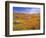 California Poppy Reserve, Lancaster, California, USA-John Alves-Framed Photographic Print