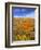 California Poppy Reserve, Lancaster, California, USA-John Alves-Framed Photographic Print