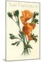 California Poppy, San Francisco-null-Mounted Art Print