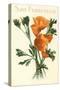 California Poppy, San Francisco-null-Stretched Canvas