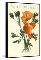 California Poppy, San Francisco-null-Framed Stretched Canvas