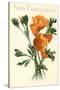 California Poppy, San Francisco-null-Stretched Canvas