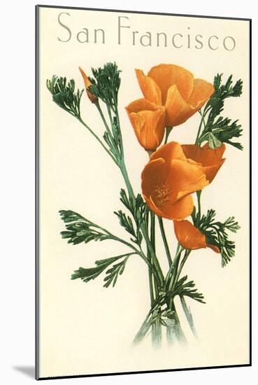 California Poppy, San Francisco-null-Mounted Art Print