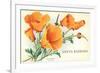 California Poppy, Santa Barbara, California-null-Framed Premium Giclee Print