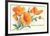 California Poppy, Santa Barbara, California-null-Framed Premium Giclee Print