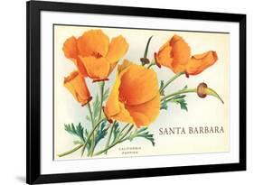 California Poppy, Santa Barbara, California-null-Framed Premium Giclee Print