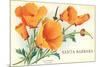 California Poppy, Santa Barbara, California-null-Mounted Premium Giclee Print