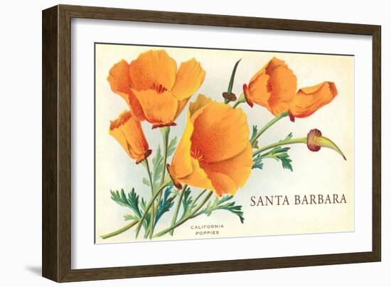 California Poppy, Santa Barbara, California-null-Framed Art Print