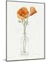 California Poppy Vase II-Grace Popp-Mounted Art Print