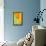 California Poppy-Darrell Gulin-Framed Stretched Canvas displayed on a wall