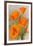 California Poppy-null-Framed Art Print