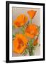 California Poppy-null-Framed Art Print