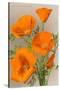 California Poppy-null-Stretched Canvas