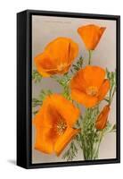 California Poppy-null-Framed Stretched Canvas