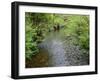 California, Prairie Creek Redwoods State Park-John Barger-Framed Photographic Print