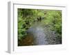 California, Prairie Creek Redwoods State Park-John Barger-Framed Photographic Print