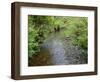 California, Prairie Creek Redwoods State Park-John Barger-Framed Photographic Print