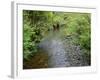 California, Prairie Creek Redwoods State Park-John Barger-Framed Photographic Print