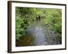 California, Prairie Creek Redwoods State Park-John Barger-Framed Photographic Print