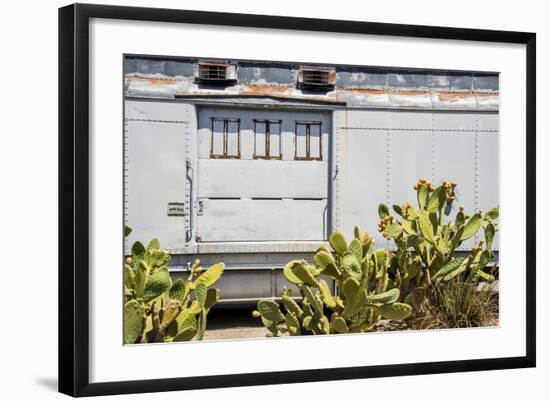 California, Prickly Pear Cactus in Front-Alison Jones-Framed Photographic Print