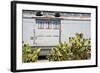 California, Prickly Pear Cactus in Front-Alison Jones-Framed Photographic Print
