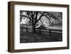 California Ranch-Bike Tourist-Framed Photographic Print