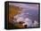 California, Redwood National and State Parks-John Barger-Framed Stretched Canvas