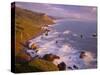 California, Redwood National and State Parks-John Barger-Stretched Canvas