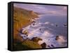 California, Redwood National and State Parks-John Barger-Framed Stretched Canvas