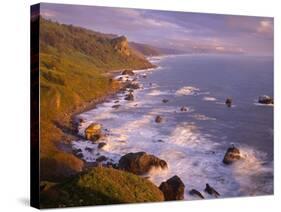 California, Redwood National and State Parks-John Barger-Stretched Canvas