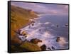 California, Redwood National and State Parks-John Barger-Framed Stretched Canvas