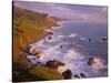 California, Redwood National and State Parks-John Barger-Stretched Canvas