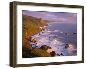 California, Redwood National and State Parks-John Barger-Framed Photographic Print