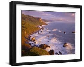 California, Redwood National and State Parks-John Barger-Framed Photographic Print