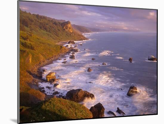 California, Redwood National and State Parks-John Barger-Mounted Photographic Print