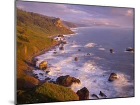 California, Redwood National and State Parks-John Barger-Mounted Photographic Print