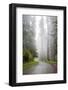 California, Redwood National Park, Lady Bird Johnson Grove, Misty road through the Redwoods.-Jamie & Judy Wild-Framed Photographic Print