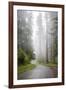 California, Redwood National Park, Lady Bird Johnson Grove, Misty road through the Redwoods.-Jamie & Judy Wild-Framed Premium Photographic Print