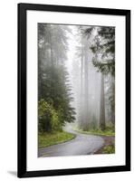 California, Redwood National Park, Lady Bird Johnson Grove, Misty road through the Redwoods.-Jamie & Judy Wild-Framed Premium Photographic Print