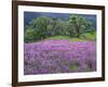 California, Redwood National Park-John Barger-Framed Photographic Print