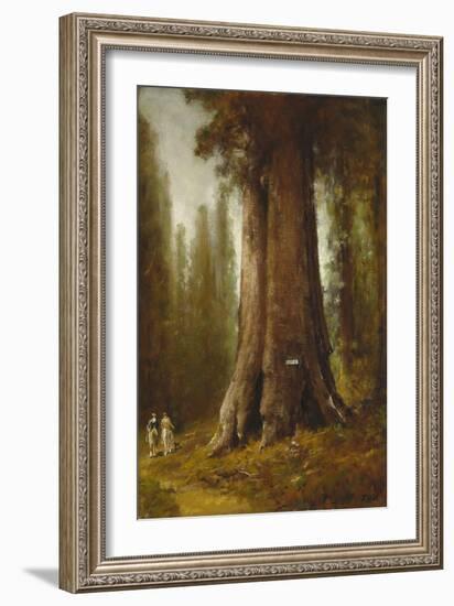 California Redwood Trees-Thomas Hill-Framed Giclee Print