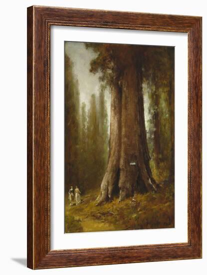 California Redwood Trees-Thomas Hill-Framed Giclee Print